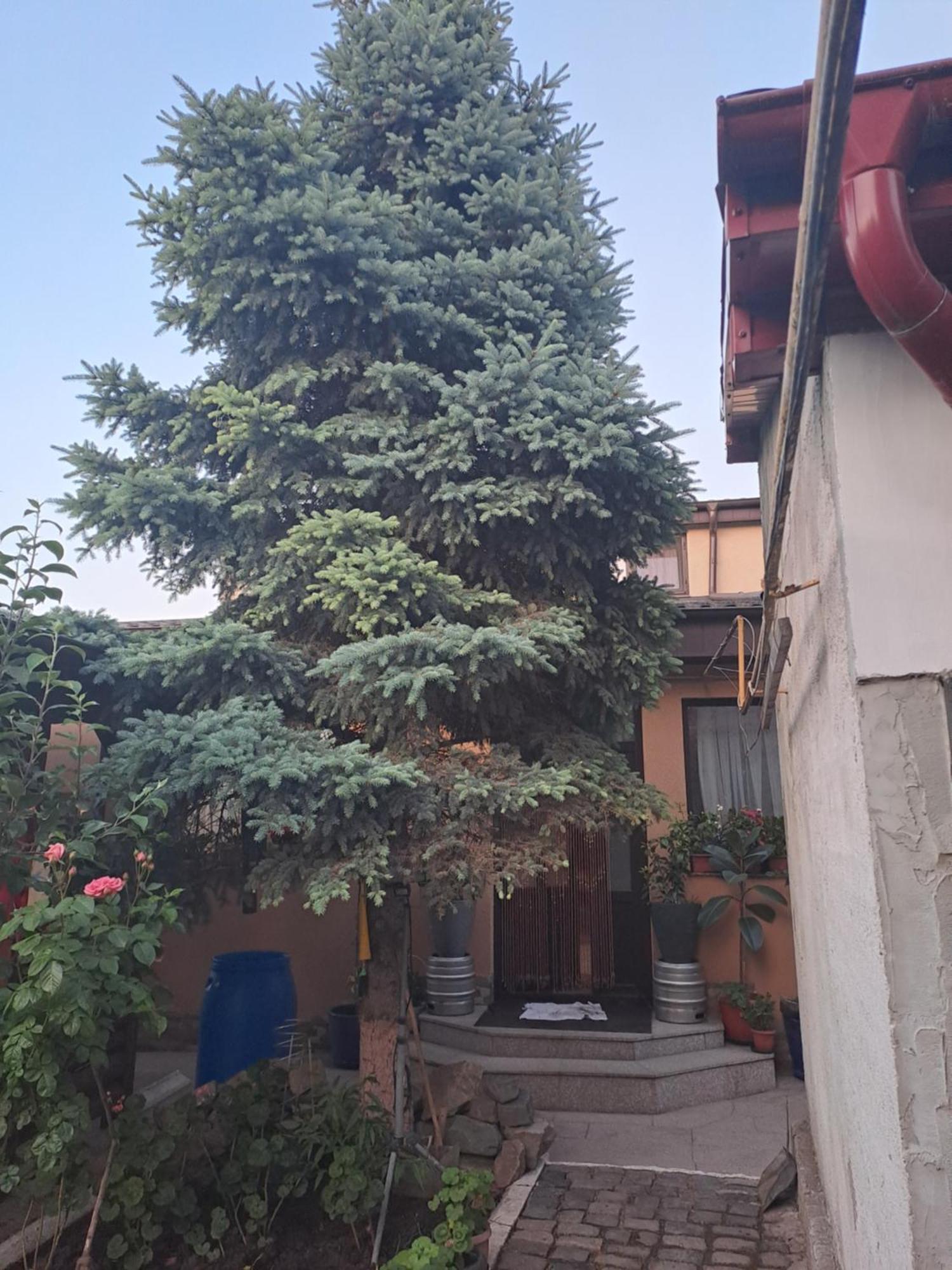 Casa Rusu Galaţi Exterior foto